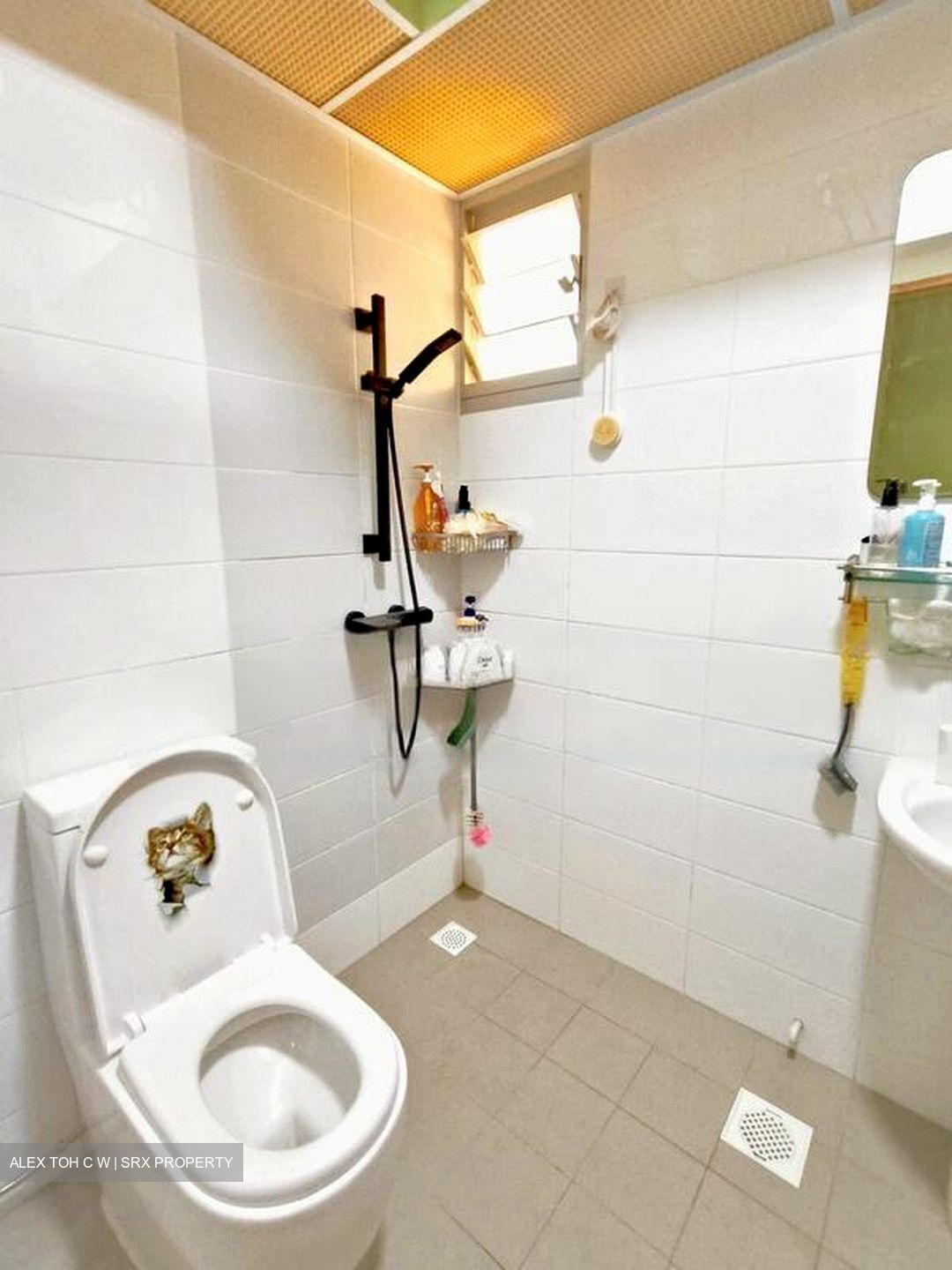 Blk 117A Tenteram Peak (Toa Payoh), HDB 4 Rooms #452072111